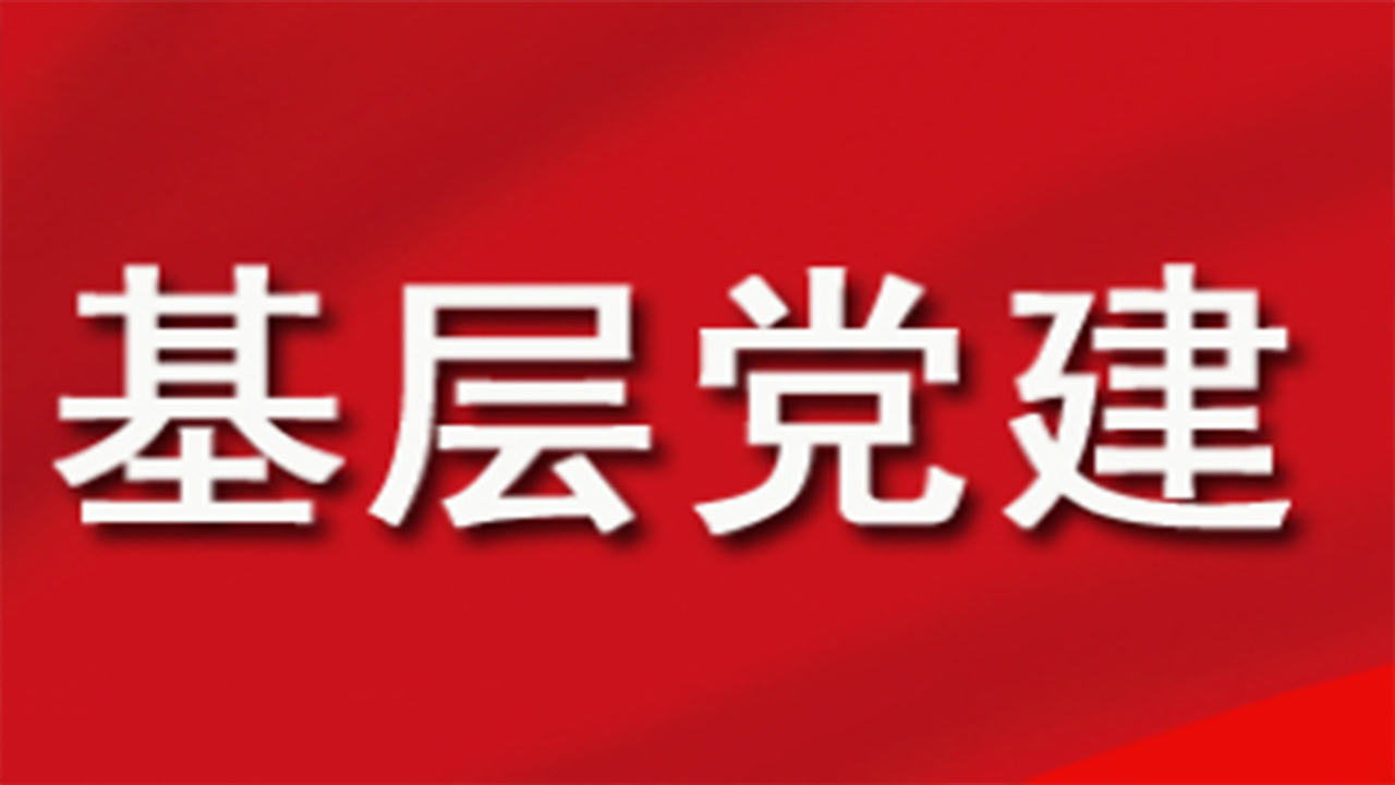 全面學習把握落實黨的二十大精神 奮力奪取全面建設(shè)社會主義現(xiàn)代化國家新勝